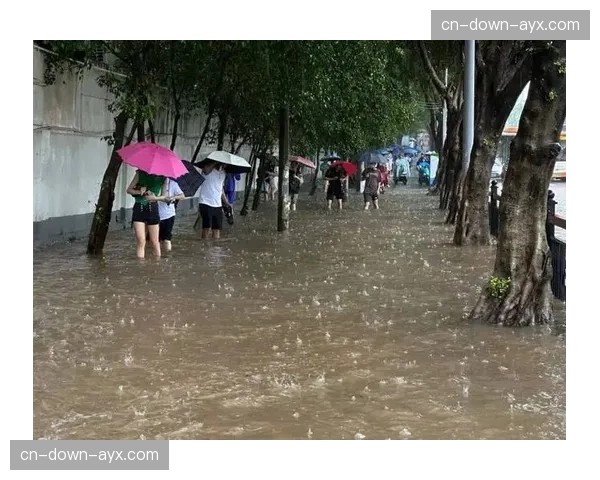 大雨导致弗罗西诺内主场部分看台积水，比赛一度中断