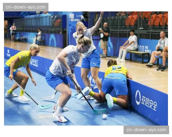 突发：瑞典对捷克比赛因天气原因延期